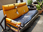 IMGP0718.jpg