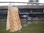IMGP0719.jpg