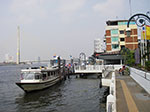 IMGP0741.jpg