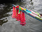 IMGP0744.jpg