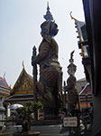 IMGP0797.jpg
