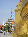 IMGP0810.jpg