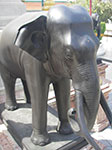 IMGP0814.jpg