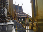 IMGP0815.jpg