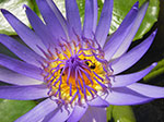 IMGP0828.jpg