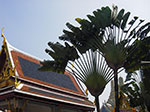 IMGP0845.jpg
