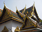 IMGP0855.jpg