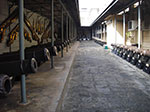 IMGP0863.jpg