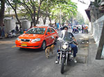 IMGP0865.jpg