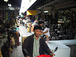 IMGP0872.jpg