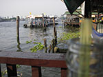 IMGP0884.jpg
