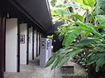 IMGP0909.jpg