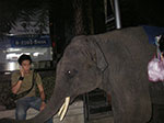 IMGP0938.jpg