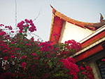 IMGP0952.jpg