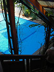 IMGP1008.jpg