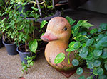 IMGP1019.jpg
