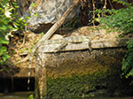 IMGP1095.jpg