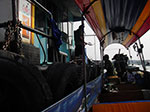 IMGP1103.jpg