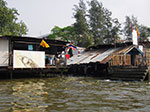 IMGP1107.jpg