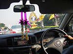 IMGP1118.jpg