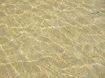 IMGP1138.jpg
