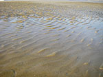 IMGP1203.jpg
