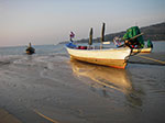 IMGP1237.jpg