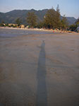 IMGP1239.jpg