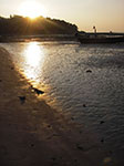 IMGP1241.jpg