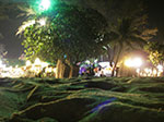IMGP1269.jpg