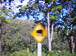 IMGP1293.jpg