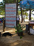 IMGP1301.jpg