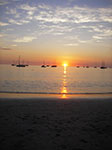 IMGP1311.jpg