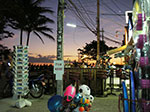 IMGP1350.jpg