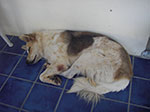 IMGP1414.jpg