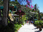 IMGP1417.jpg