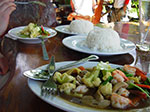 IMGP1426.jpg
