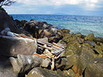 IMGP1545.jpg