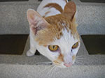 IMGP1587.jpg