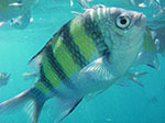 IMGP1755.jpg