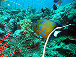 PhiPhi-014.jpg
