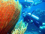 PhiPhi-015.jpg