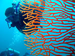 PhiPhi-022.jpg