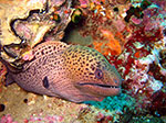 PhiPhi-023.jpg