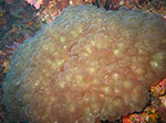 PhiPhi-030.jpg
