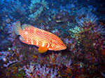 PhiPhi-033.jpg