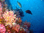 PhiPhi-036.jpg