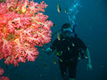 PhiPhi-039.jpg