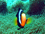 PhiPhi-058.jpg