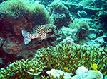 PhiPhi-061.jpg